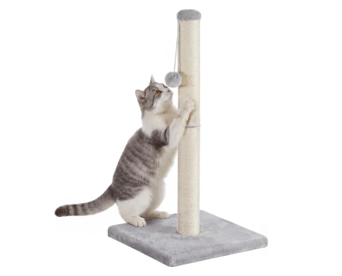 dcf3e307ada6c3a5d149e0727b0cafab.png